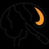 Neurosurgery